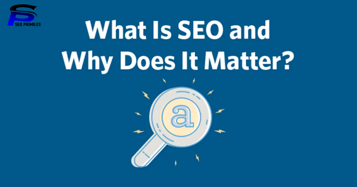 Why Does Seo Matters