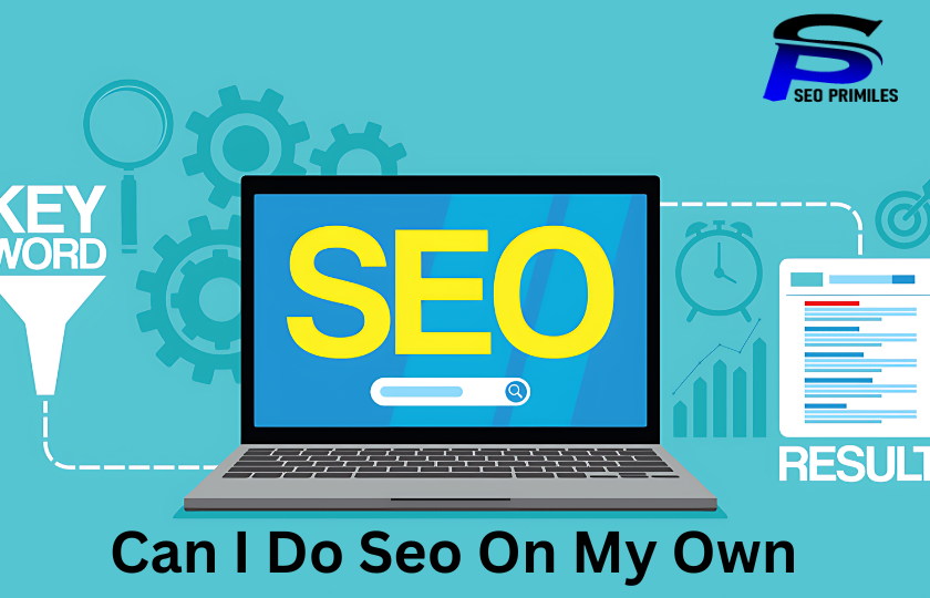 Can I Do Seo On My Own